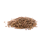 Lentils